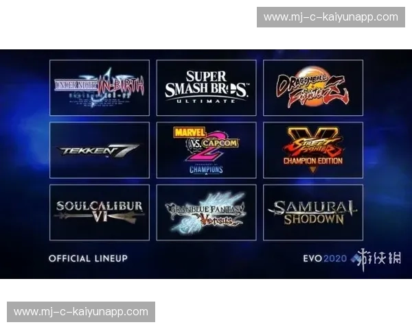 格斗赛事观赛指南：把握节拍与技巧的观赛秘籍